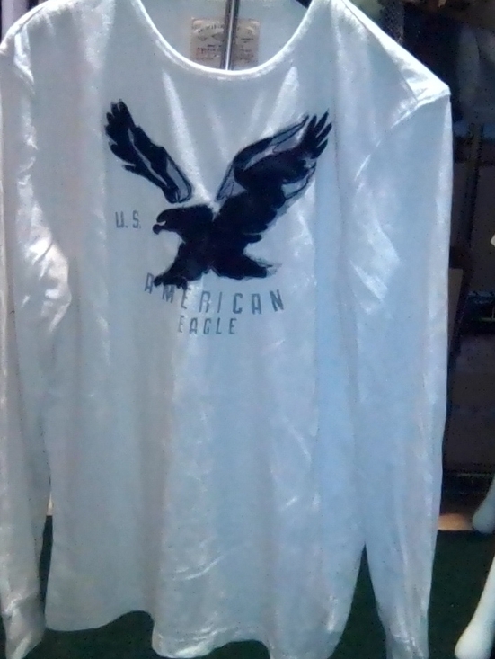 American Eagle Outfitters Other - American Eagle Outfitters White Long-Sleeve Shirt with Navy Eagle Graphic